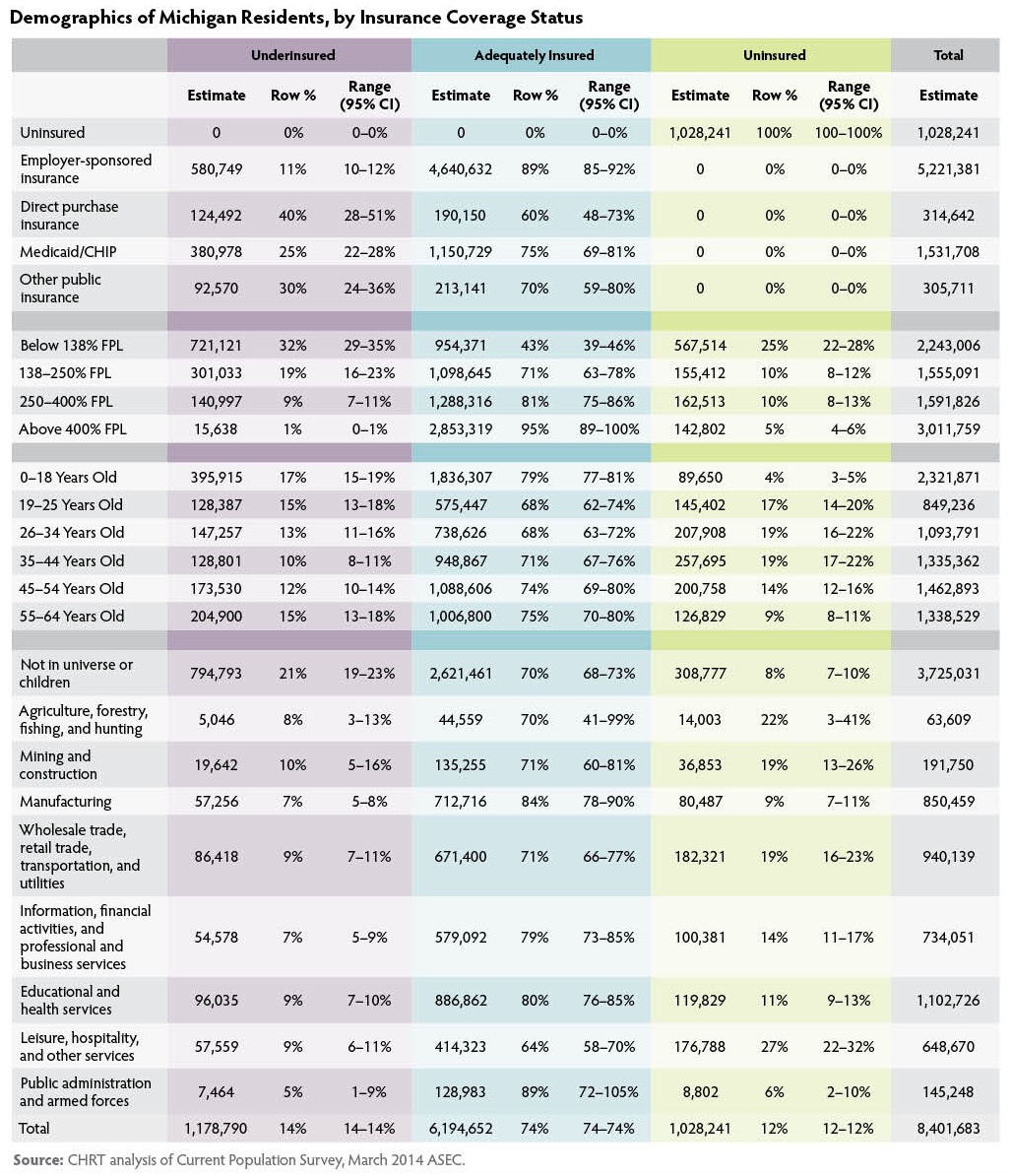 A large table of demographics of Michigan residents by insurance coverage status.