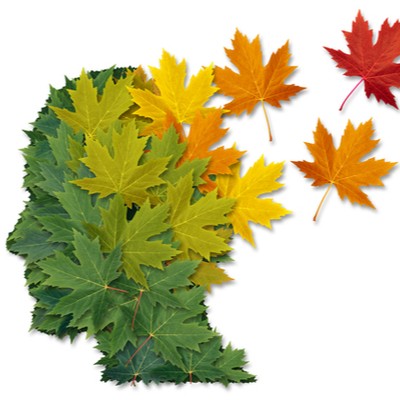 Autumn-colored leaves forming the shape of a human head