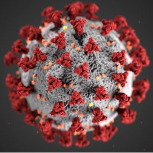 Microscope picture of a COVID virus.