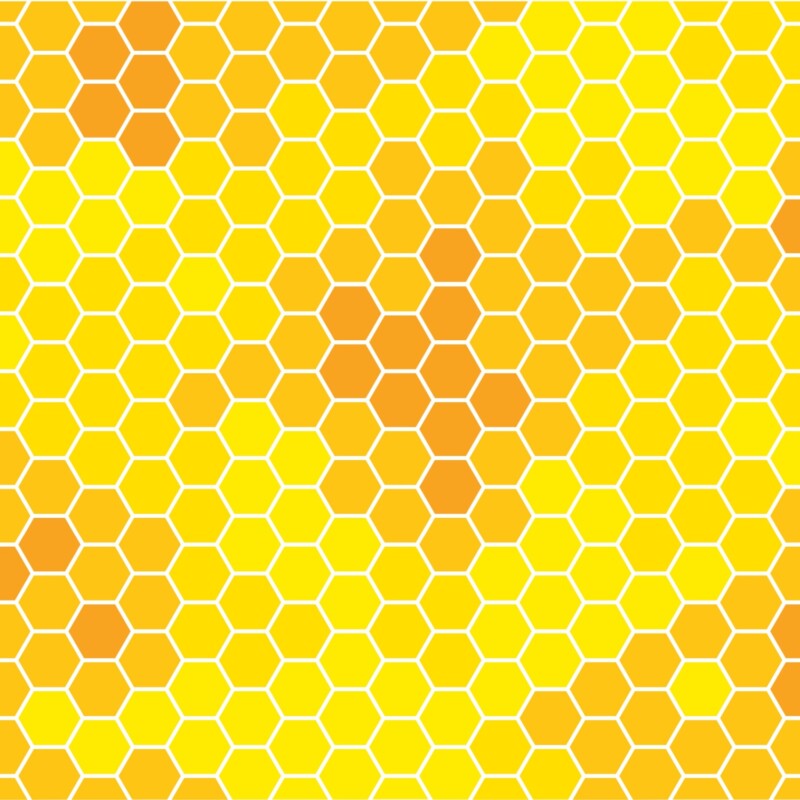 A honeycomb in yellow and orange